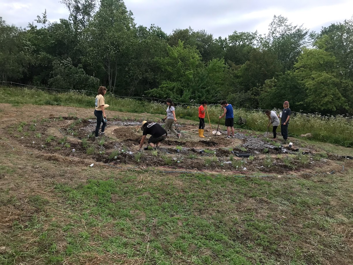 Building a garden together